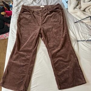 Pilcro Chocolate Corduroy Trousers